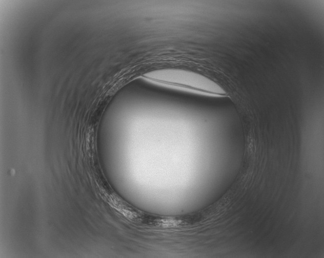 X0000086060233200703230955