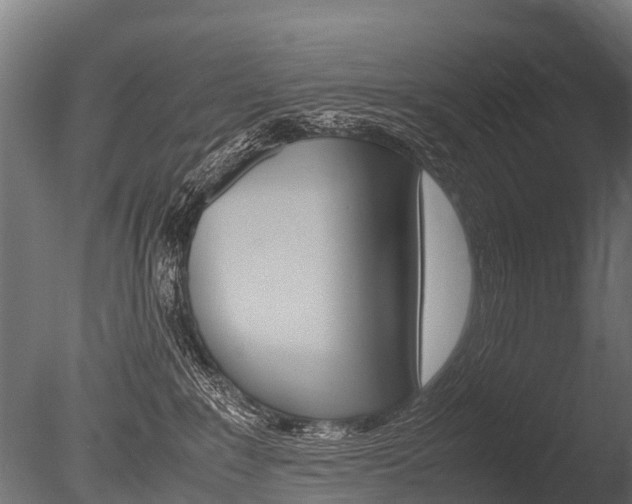 X0000086060235200703230955