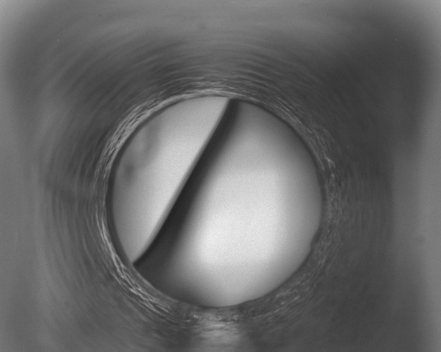 X0000086060241200703230954