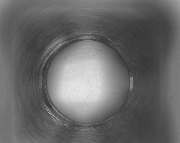 X0000086060243200703230954