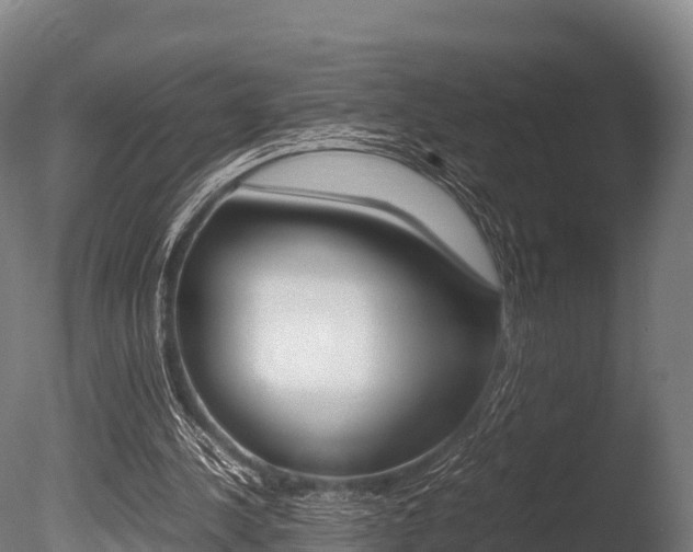 X0000086060244200703230954