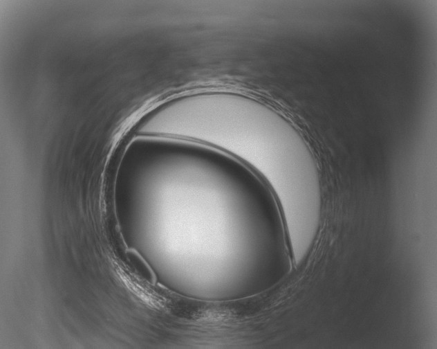 X0000086060248200703230954