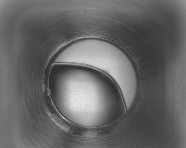 X0000086060252200703230954
