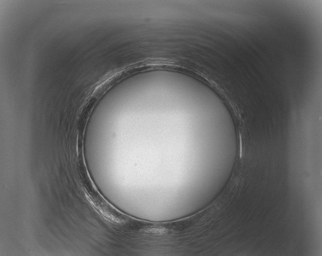 X0000086060253200703230954