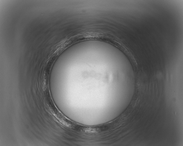 X0000086060261200703230955