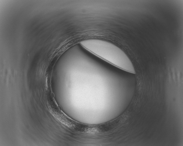 X0000086060262200703230955