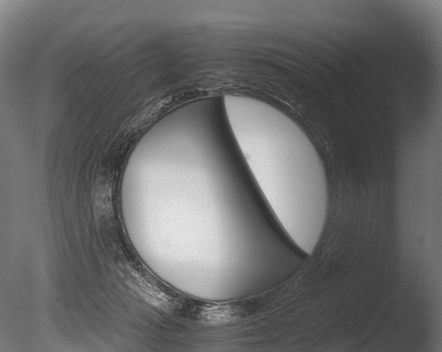 X0000086060269200703230955