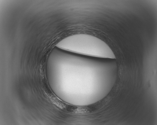 X0000086060270200703230955