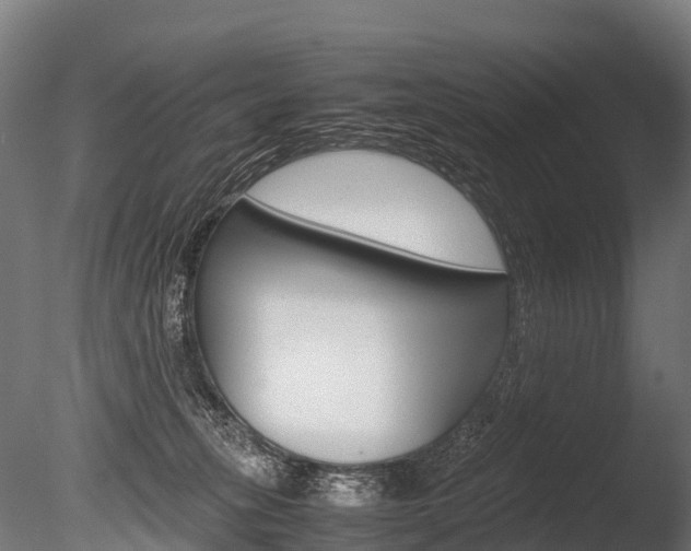 X0000086060275200703230955