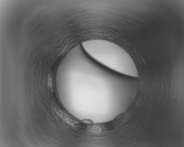 X0000086060282200703230955