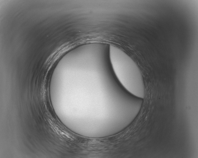 X0000086060290200703230954