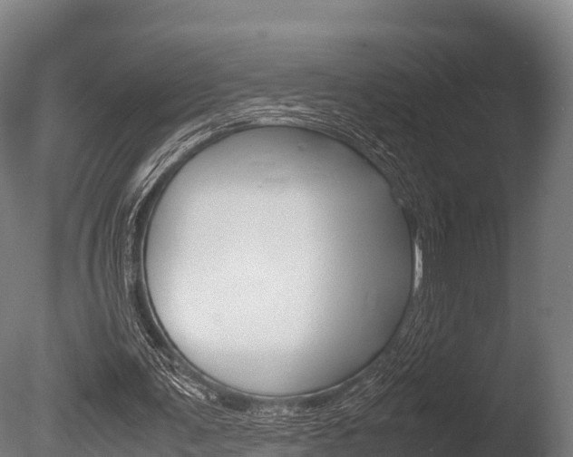 X0000086060291200703230954