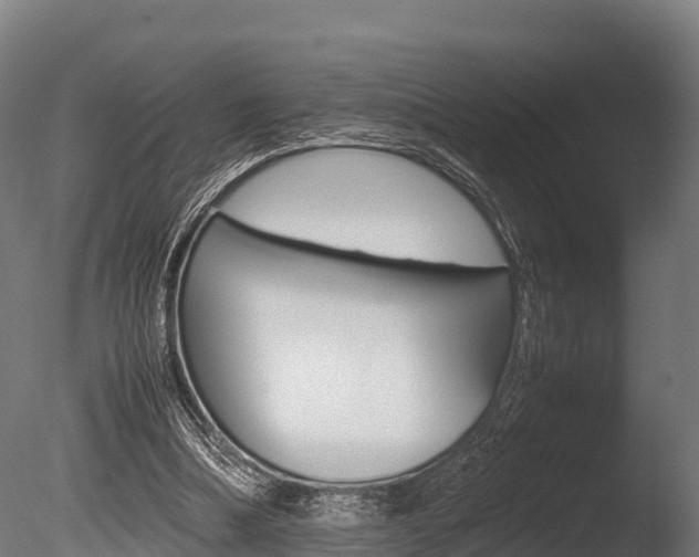 X0000086060298200703230954