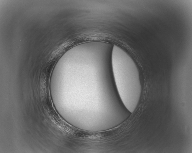X0000086060306200703230954