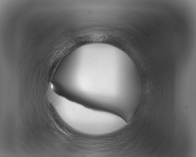 X0000086060307200703230954
