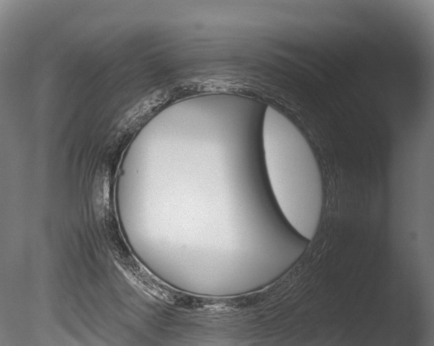 X0000086060310200703230954