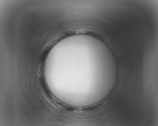 X0000086060311200703230954