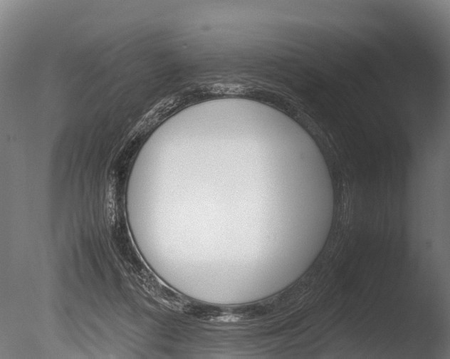 X0000086060312200703230954