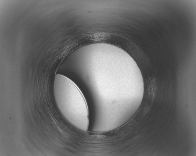 X0000086060316200703230954