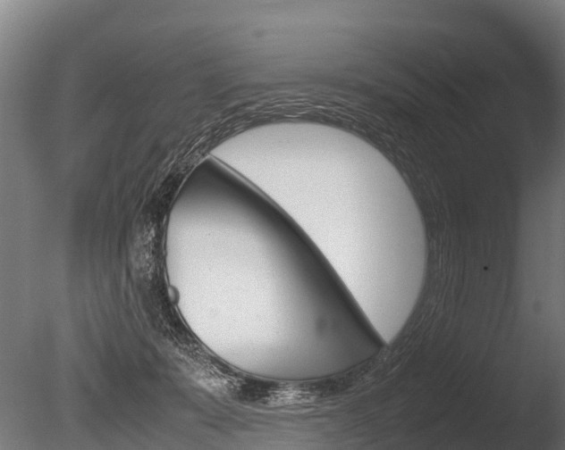 X0000086060319200703230954
