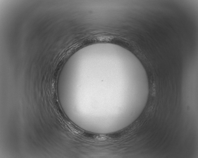 X0000086060321200703230954