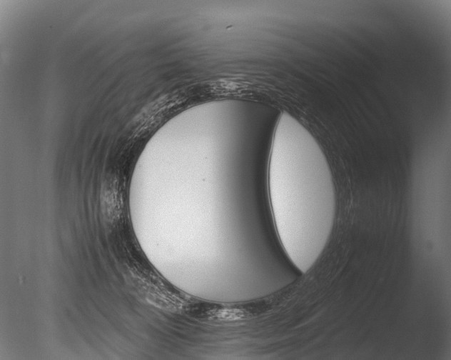 X0000086060324200703230954