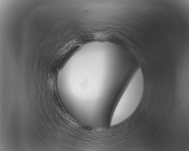 X0000086060329200703230954