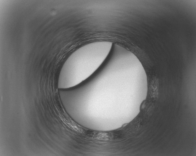 X0000086060330200703230954