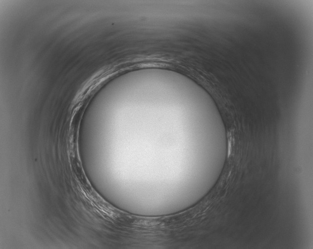 X0000086060339200703230953
