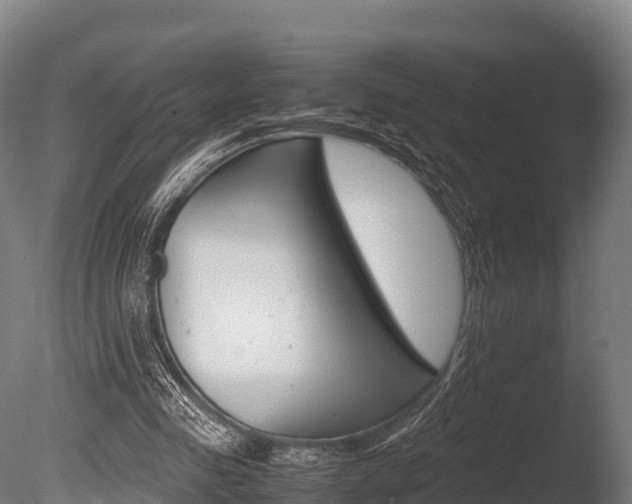X0000086060341200703230953