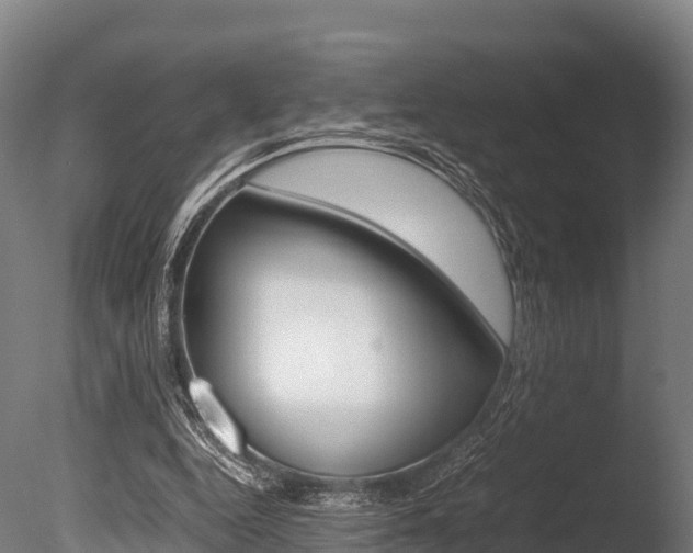 X0000086060344200703230953