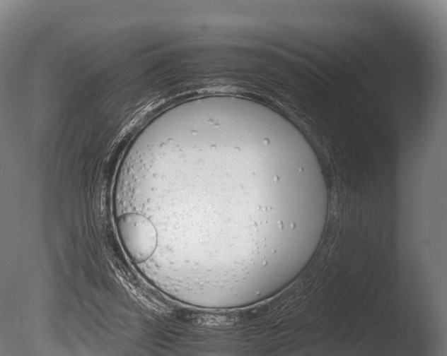 X0000086060347200703230953
