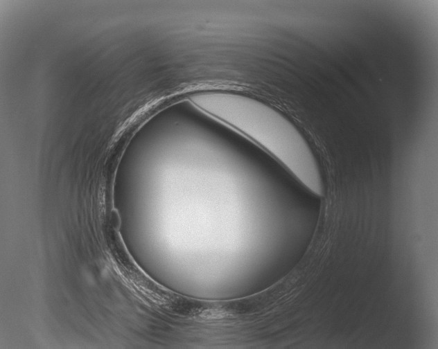 X0000086060348200703230953
