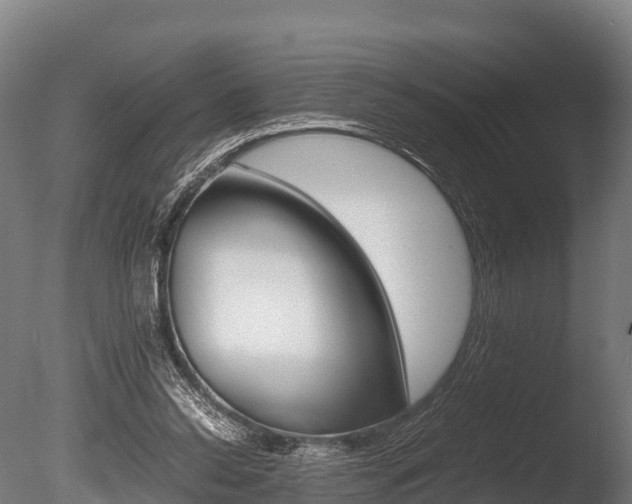 X0000086060350200703230953