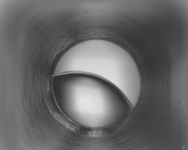 X0000086060362200703230953