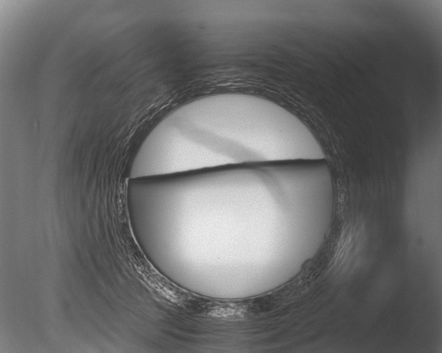 X0000086060369200703230953