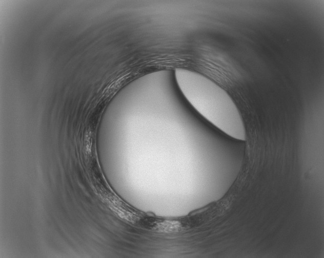 X0000086060374200703230953