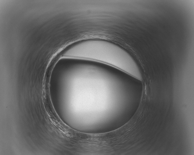 X0000086060388200703230953
