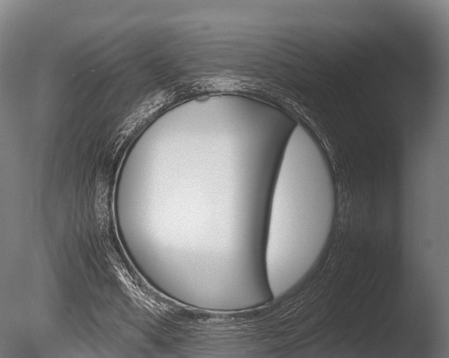 X0000086060394200703230952