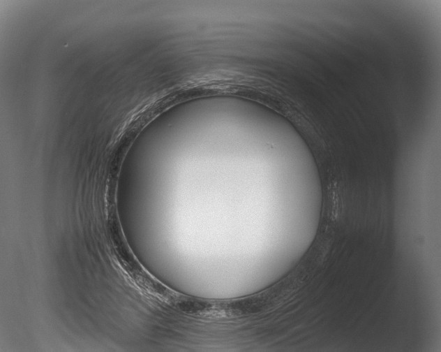 X0000086060404200703230952