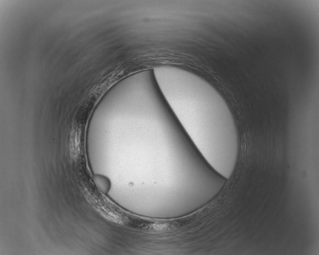 X0000086060406200703230952