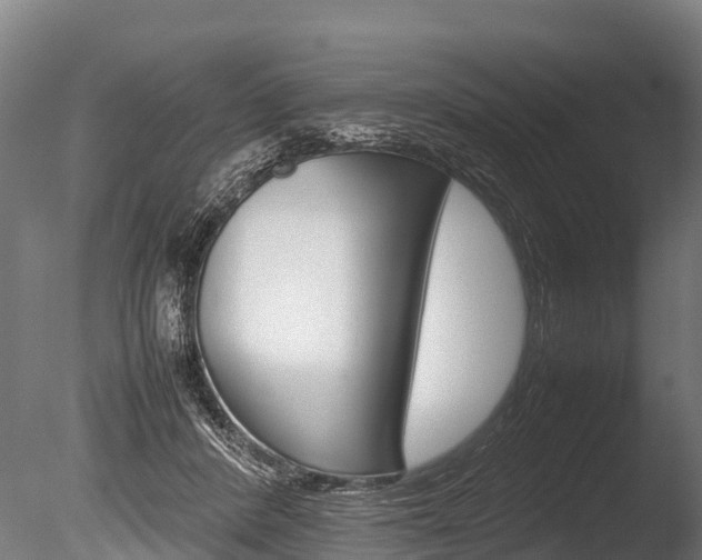X0000086060408200703230952