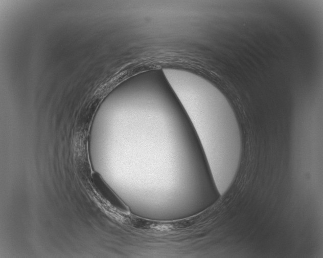 X0000086060409200703230952