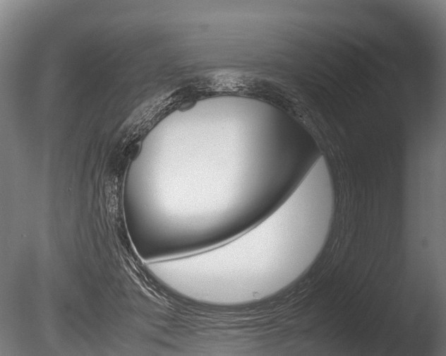 X0000086060413200703230952