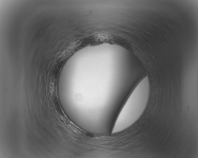X0000086060417200703230952