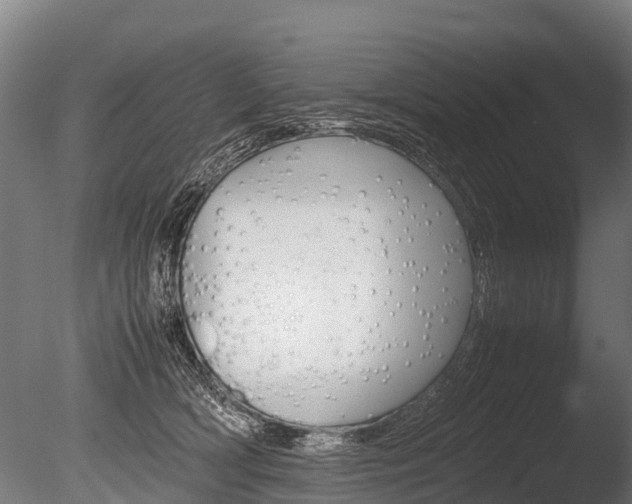 X0000086060418200703230952