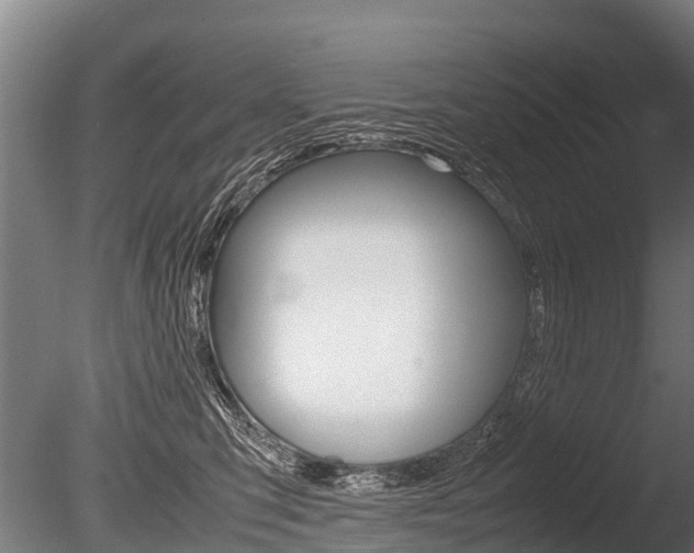 X0000086060423200703230952