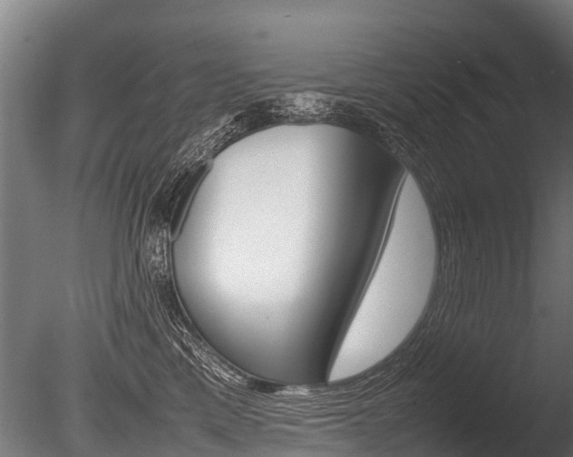 X0000086060425200703230952