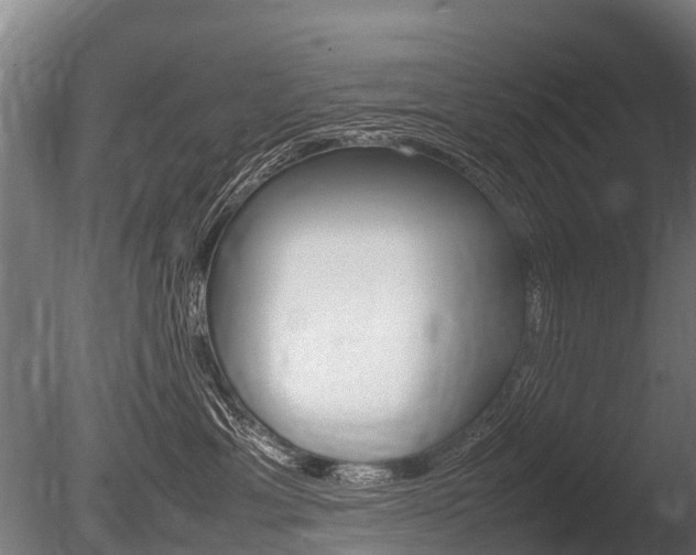 X0000086060429200703230952