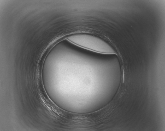 X0000086060435200703230951